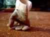 Sample image from gallery