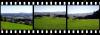 Sample image from gallery