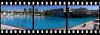 Sample image from gallery