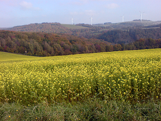Herbstidylle St Wendel-Werchweiler