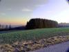 Sample image from gallery