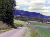 Sample image from gallery