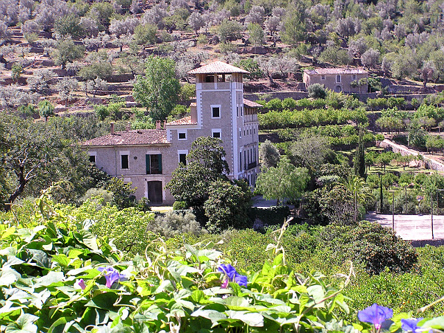 Finca bei Biniaraix
