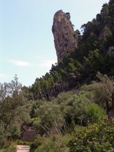 Felsnadel