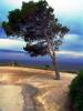 Sample image from gallery