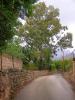 Sample image from gallery