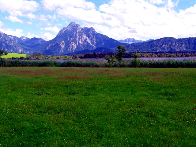 Säugling (Hopfensee)