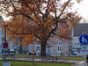 Sample image from gallery