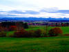 Sample image from gallery