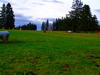 Sample image from gallery