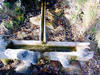 Sample image from gallery