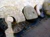 Sample image from gallery