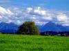 Sample image from gallery