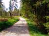 Sample image from gallery