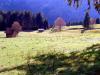 Sample image from gallery