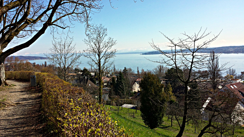 Bodensee