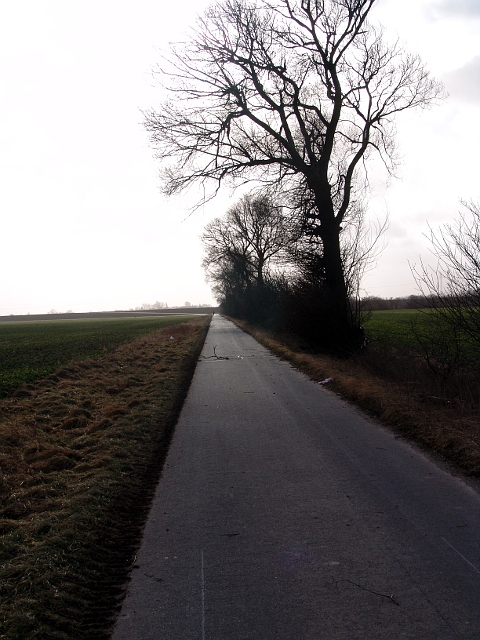 Koppelweg