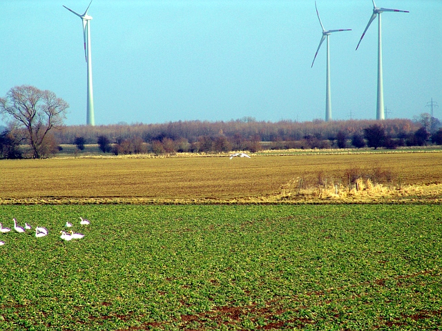Windmühlen