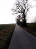 Sample image from gallery