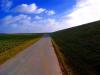 Sample image from gallery