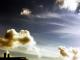 Sample image from gallery