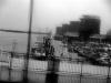 Sample image from gallery