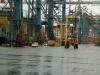 Sample image from gallery