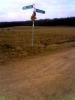 Sample image from gallery