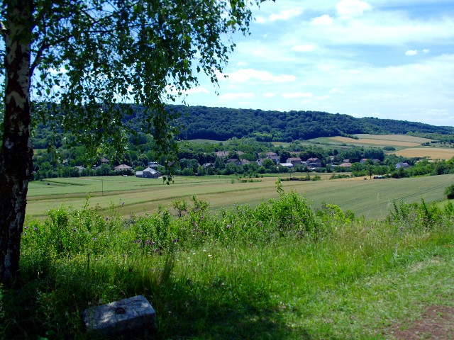 Lanschaft um Veckring