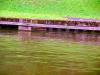Sample image from gallery