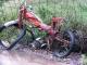 Sample image from gallery