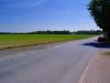 Sample image from gallery