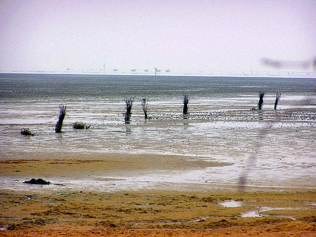 Wattenmeer