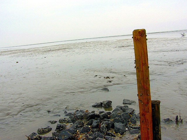 Wattenmeer