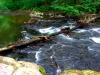 Sample image from gallery