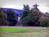 Sample image from gallery