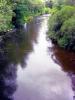Sample image from gallery