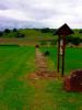 Sample image from gallery