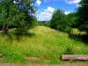 Sample image from gallery