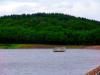 Sample image from gallery