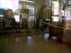 Sample image from gallery