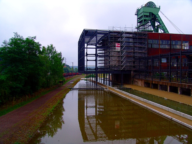 Simsen- und Binsenbecken