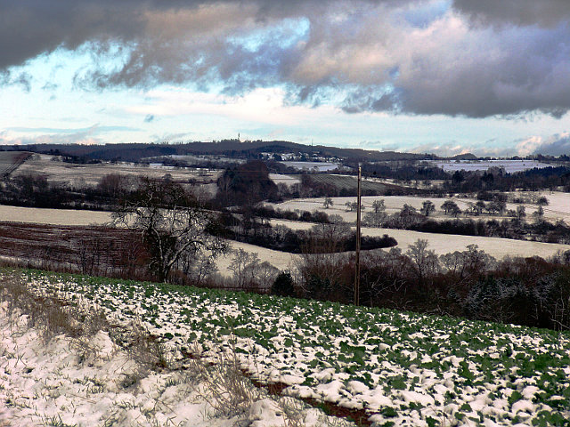 Am Tierheim Niederlinxweiler