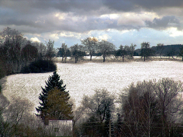 Am Tierheim Niederlinxweiler