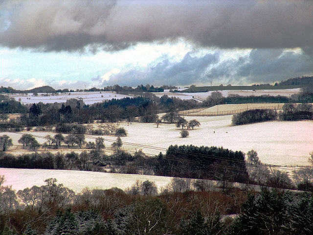 Am Tierheim Niederlinxweiler