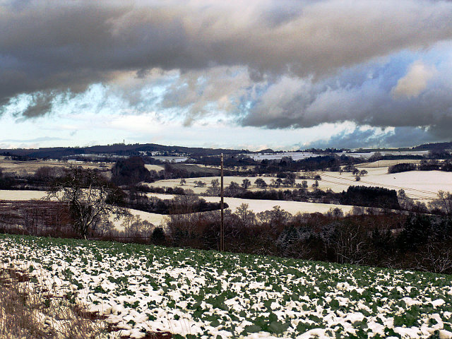 Am Tierheim Niederlinxweiler