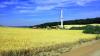Sample image from gallery