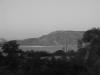 Sample image from gallery