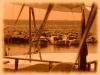 Sample image from gallery