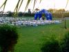 Sample image from gallery